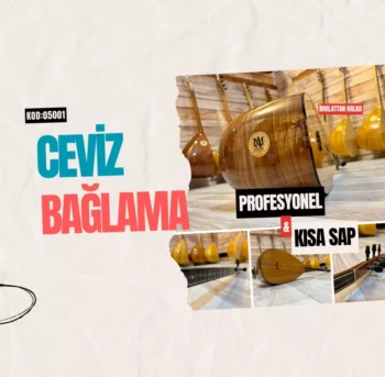Ceviz Kısa Sap Bağlama