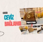 Uzun Sap Ceviz Bağlama