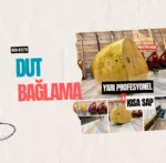 Dut Bağlama