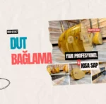 Dut Kısa Sap Bağlama