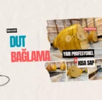 Yarı Profesyonel Saz