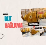 Dut Bağlama