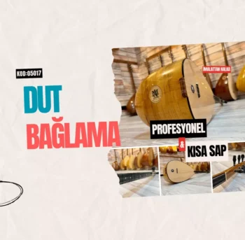 Dut Bağlama